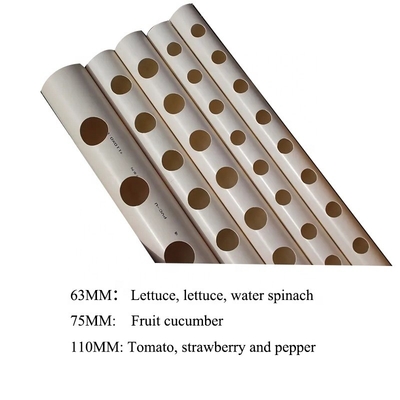 1/2&quot;-12&quot; Διαμέτρου Λευκό χρώμα 90mm 110mm PVC σωλήνα για υδροπονική φυτό Lettuce